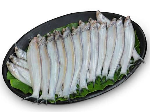 কাজলি মাছ
