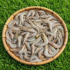 সবজি চিংড়ি