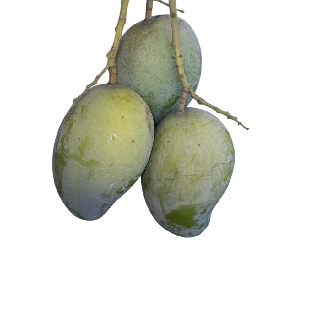Amrupali (Rajshahi) (10 kg)